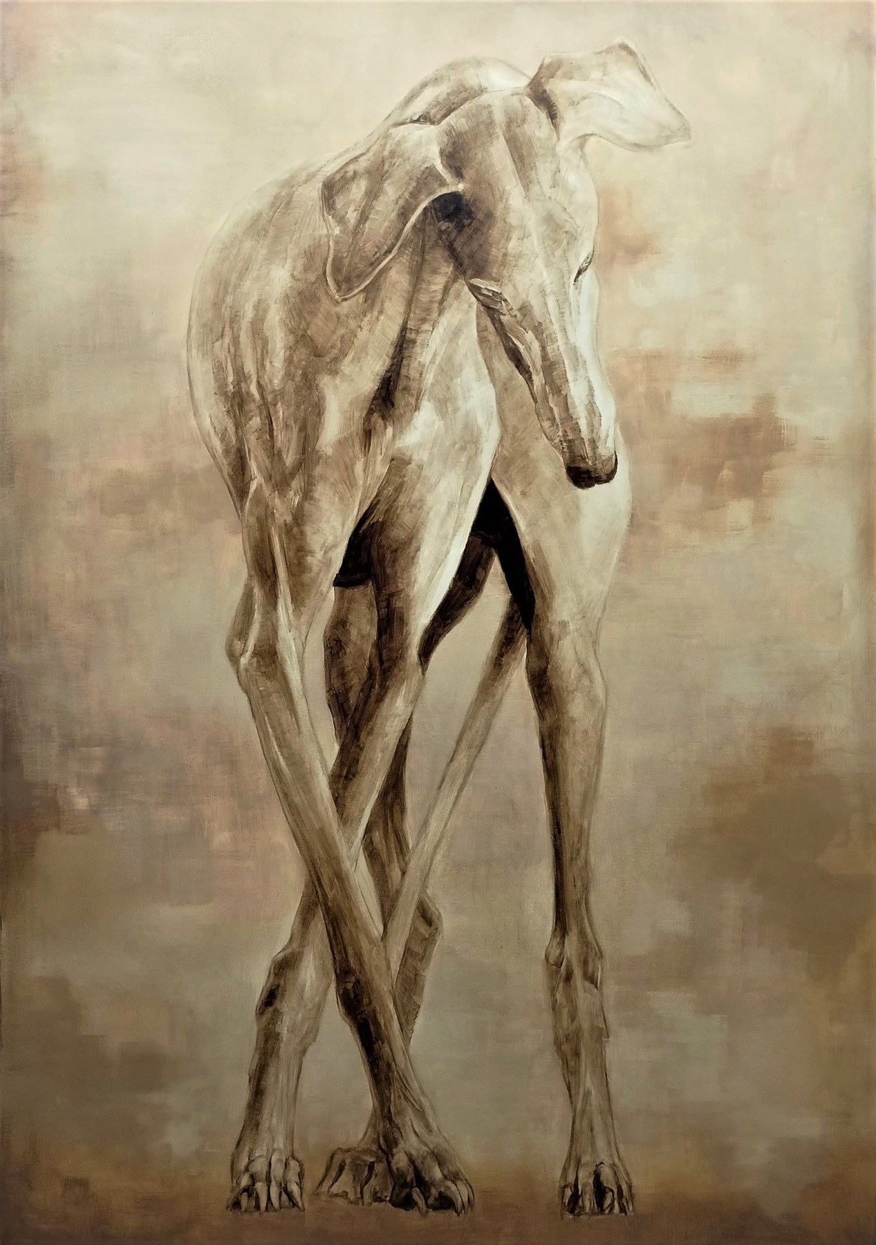 Il levriero